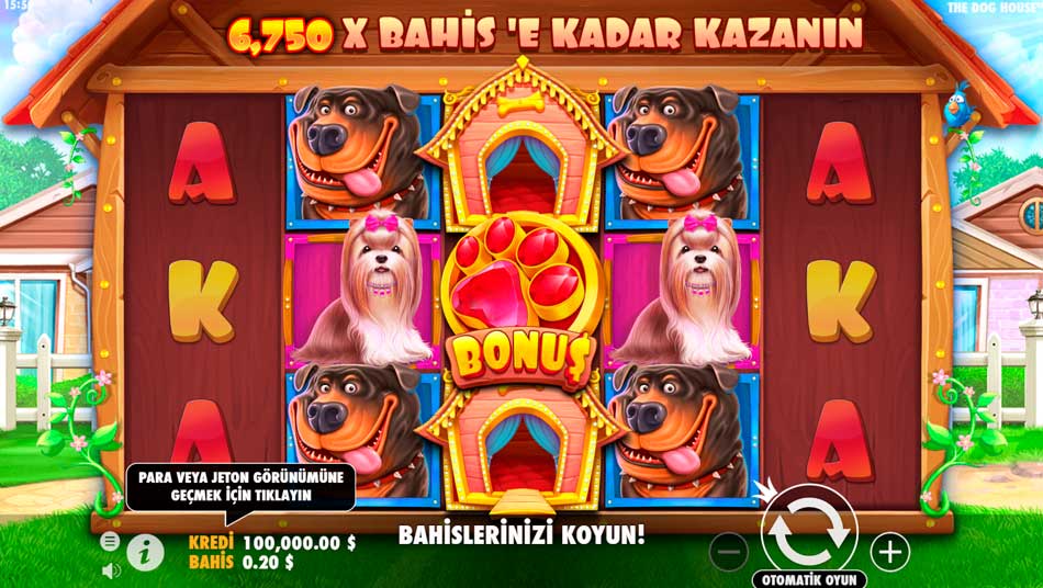the-dog-house